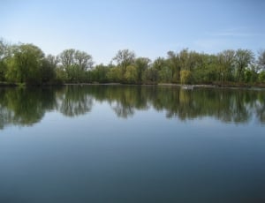 body of water surrounded by tress photo thumbnail