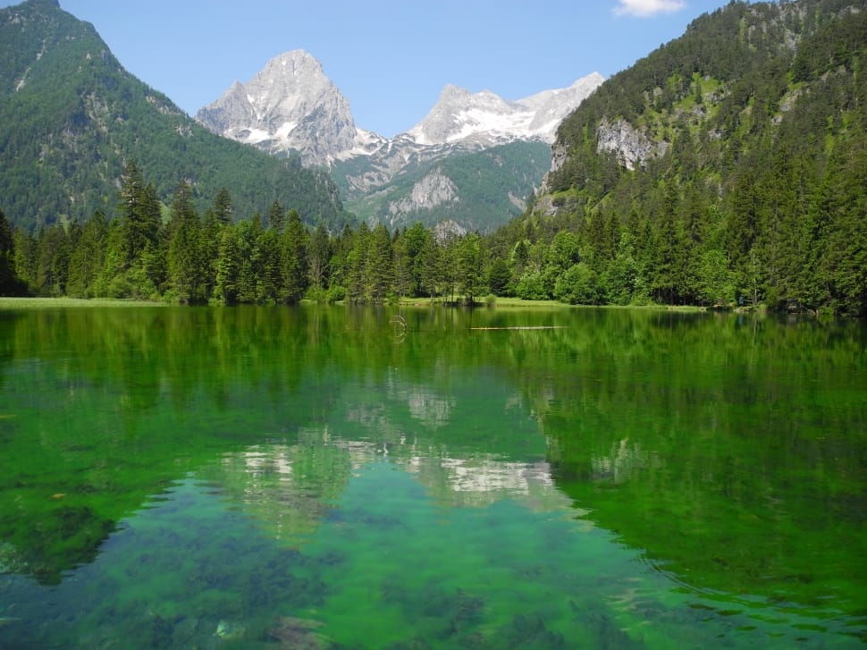 green leafed trees reflection on body of water during daylight preview