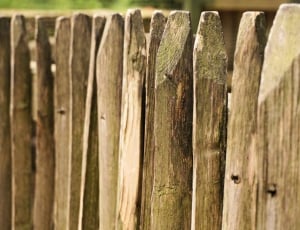 brown wooden fence during daytime thumbnail