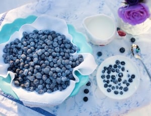 blueberry in bowl with spoon and gravy boat thumbnail