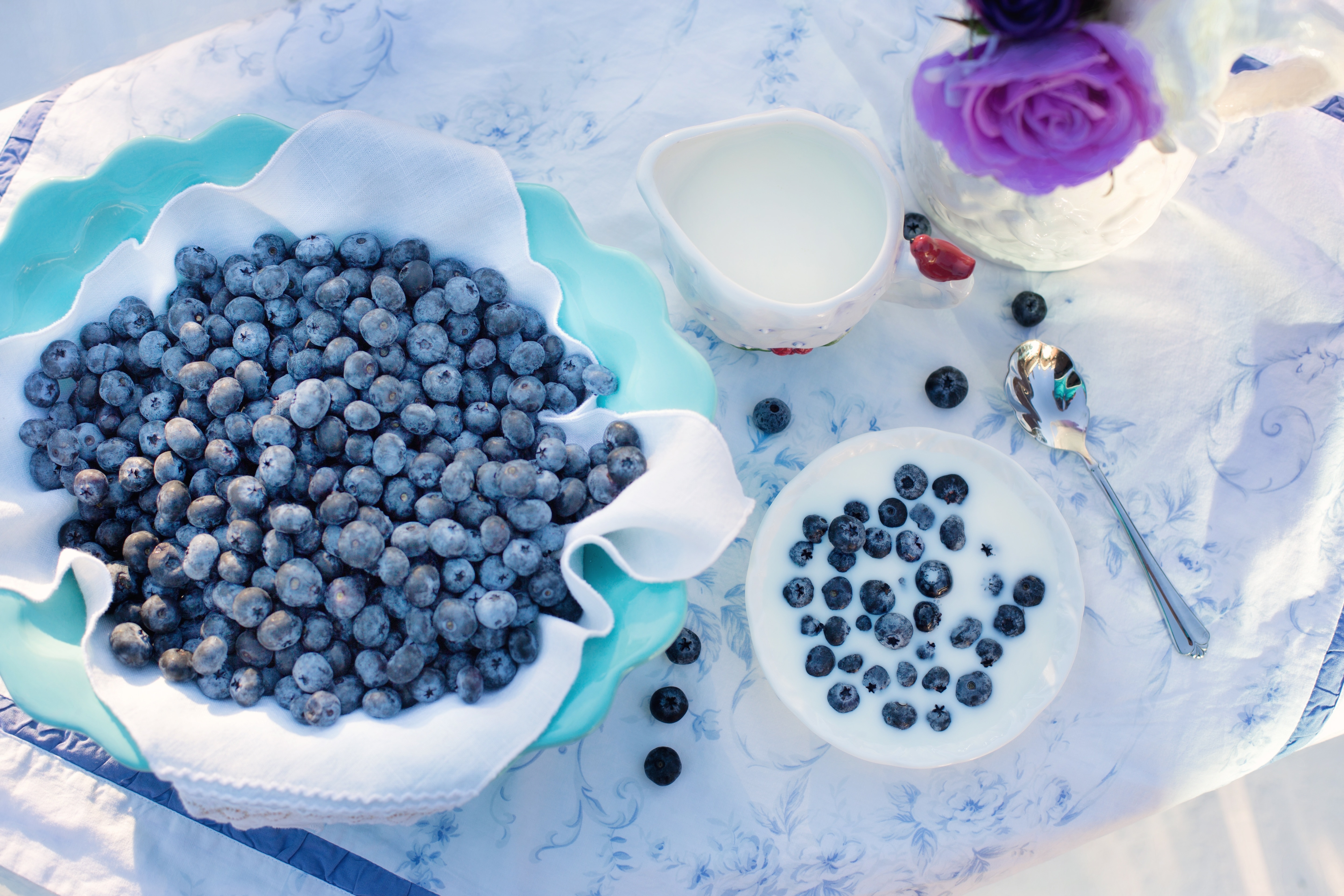 blueberry in bowl with spoon and gravy boat