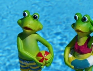 2 green frogs thumbnail