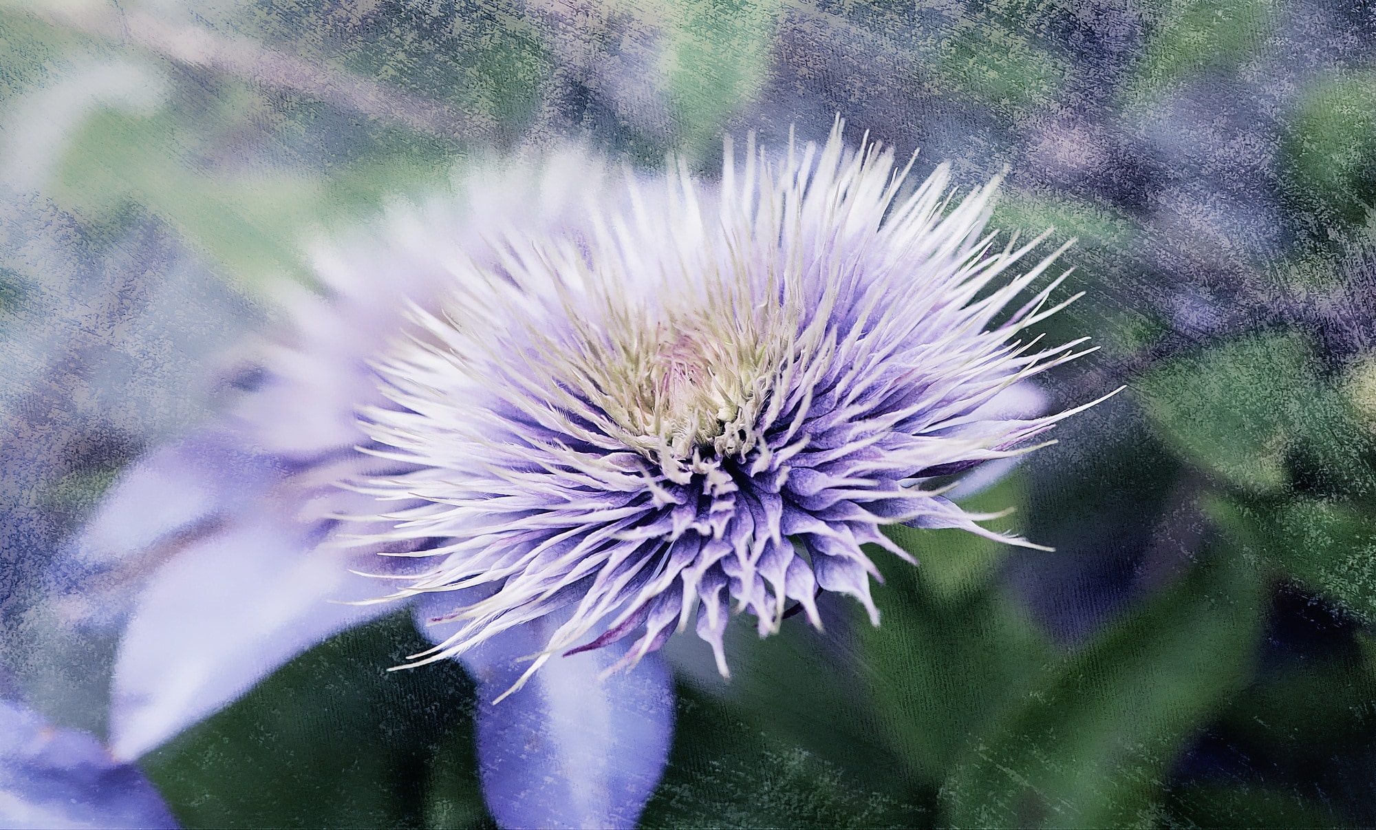 close up view of bloomed blue petaled flower