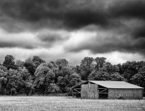 greyscale photo of horse stable thumbnail