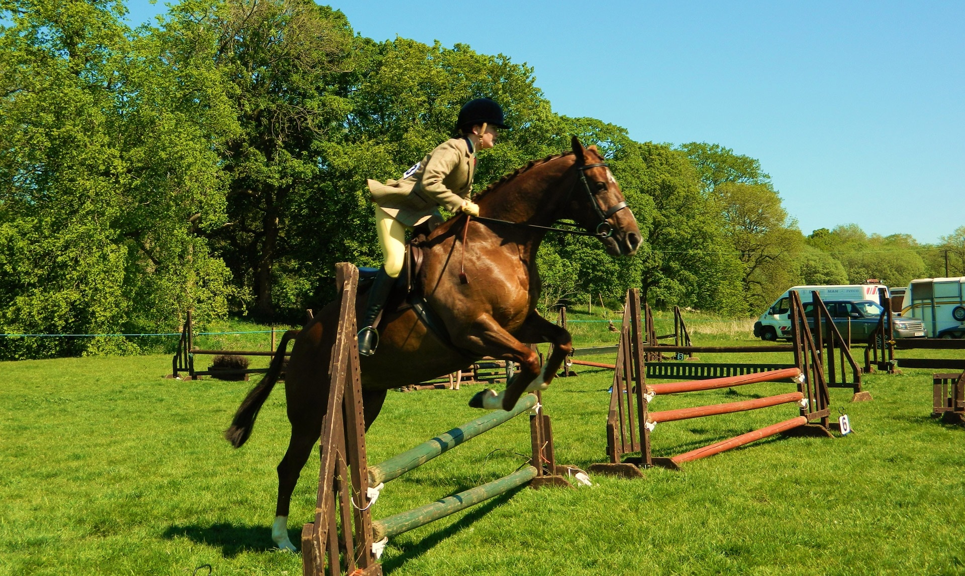 Show, Jumping, Equestrian, Horse, Rider, horse, domestic animals