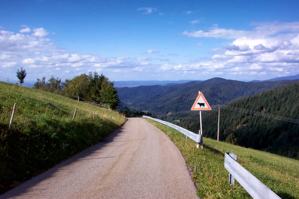 Scenic, Germany, Landscape, Road, Horben, the way forward, road preview