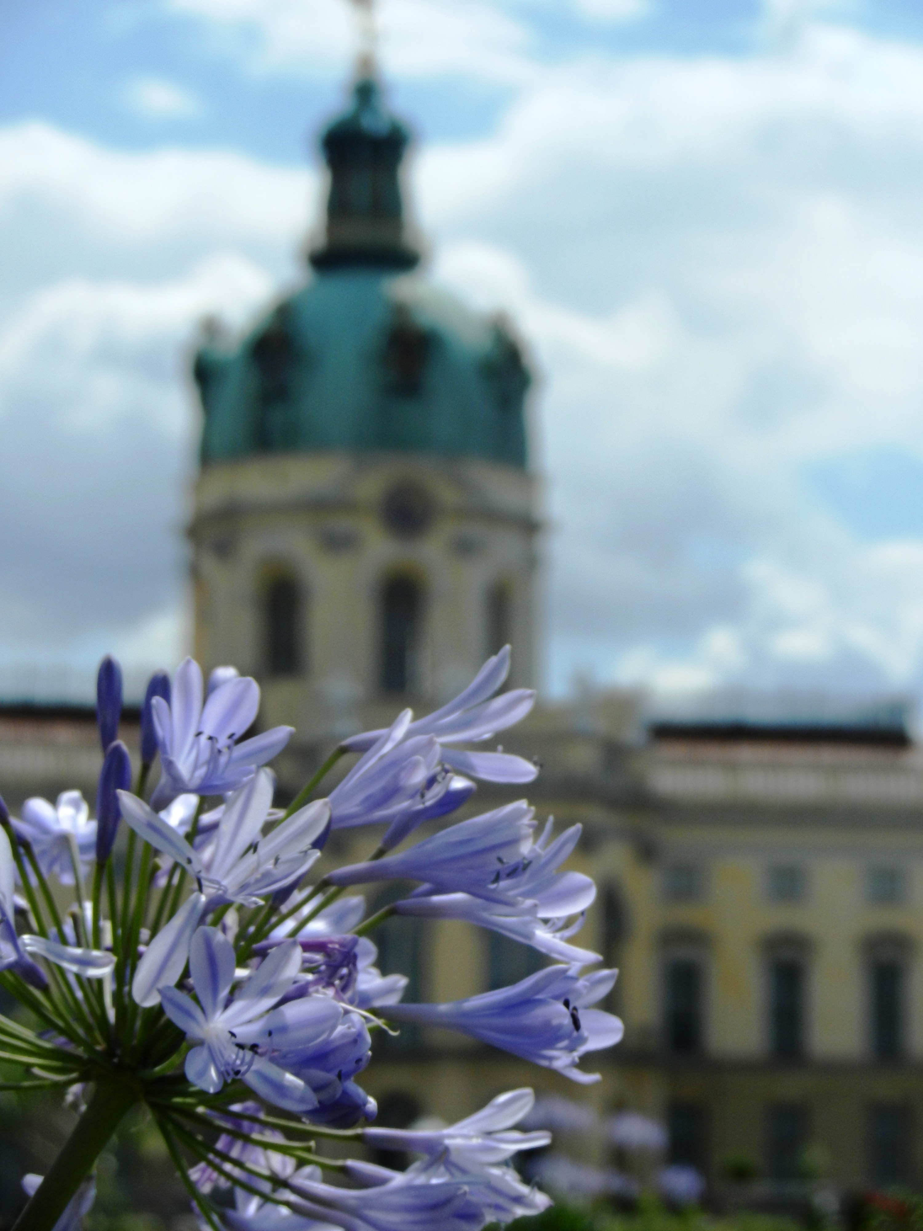 Castle, Monument, Sky, The Palace, flower, no people