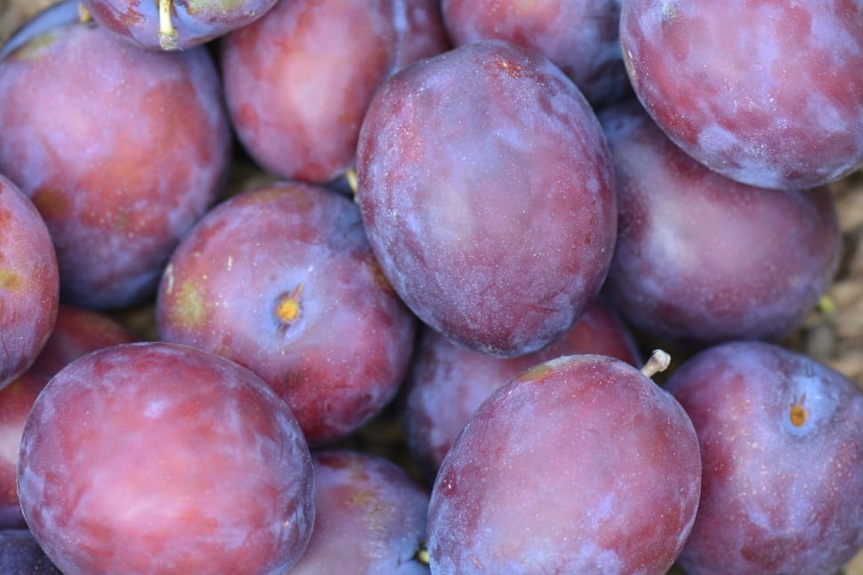 purple grapes fruit preview