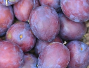purple grapes fruit thumbnail