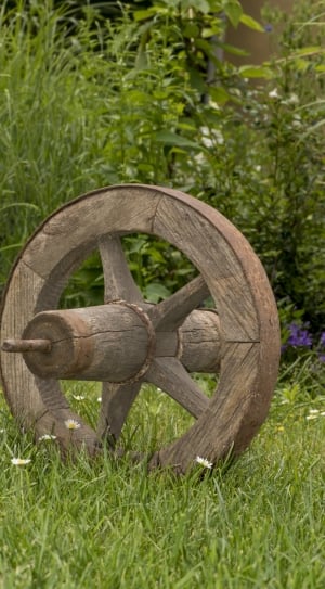 brown wooden wheel thumbnail