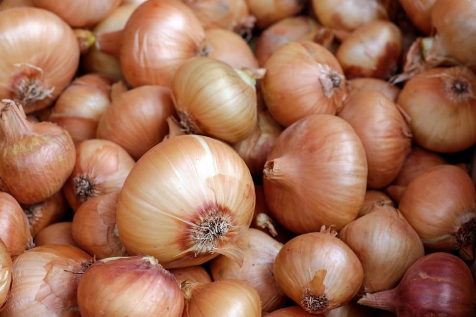 pink onions preview