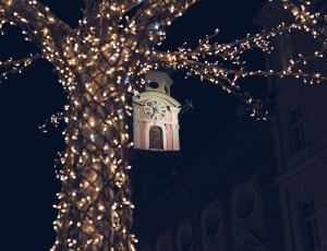 photo of tree with string lights near white clock tower thumbnail