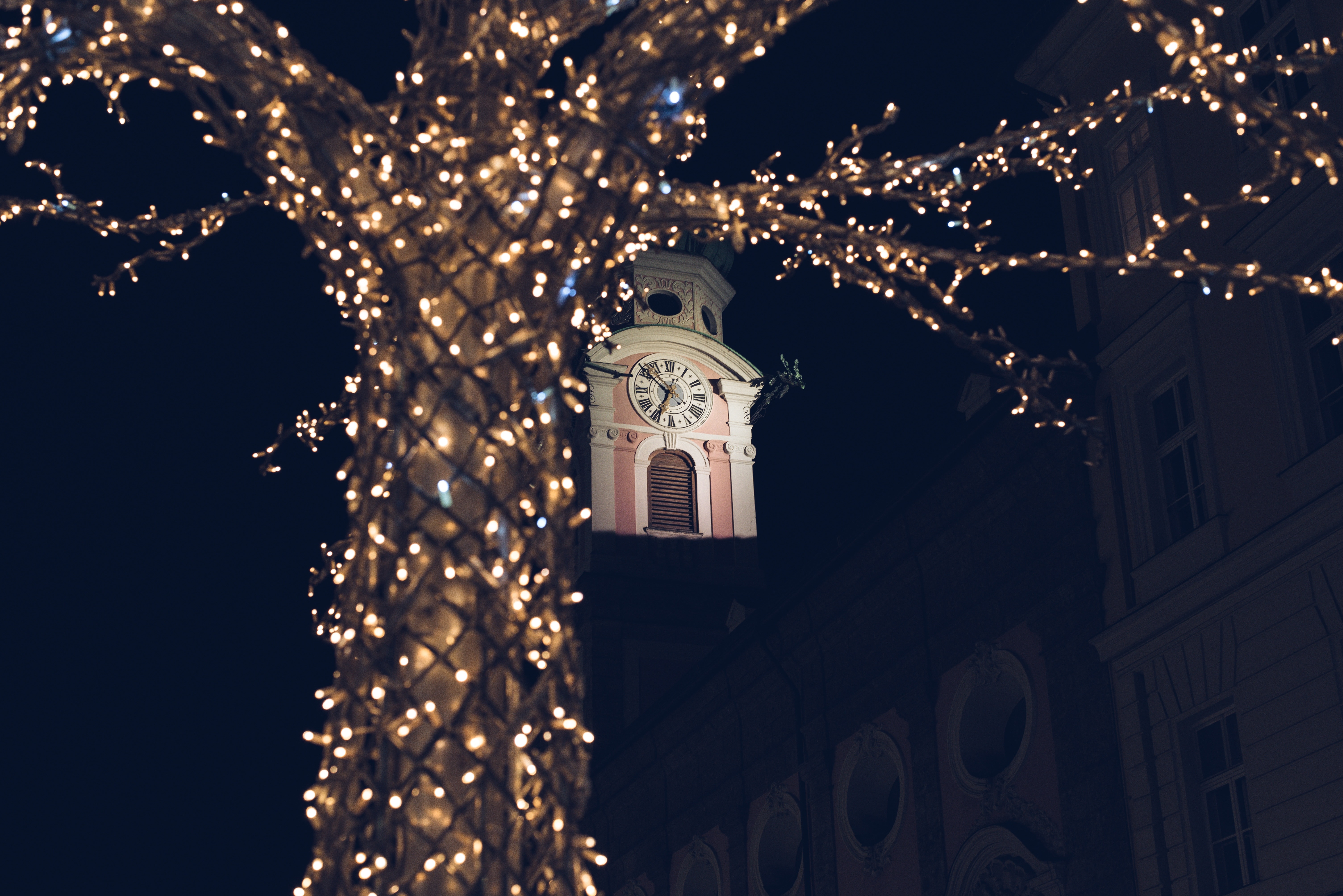 photo of tree with string lights near white clock tower