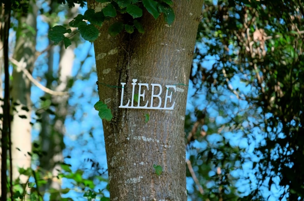 white liebe free standing letters preview