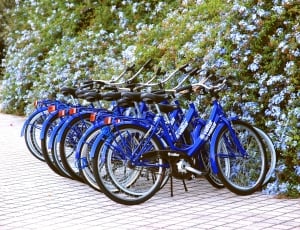 blue bicycles thumbnail