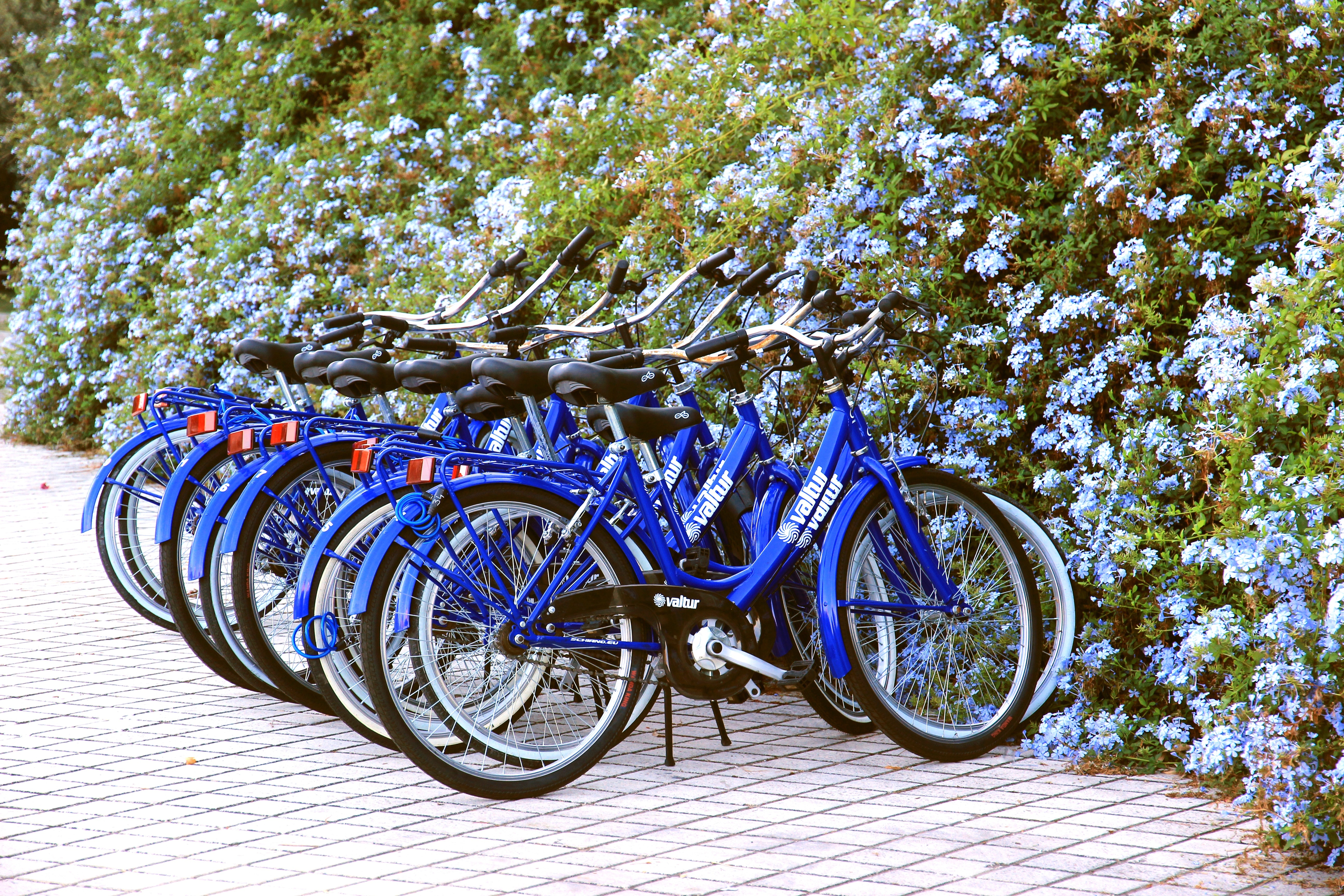 blue bicycles