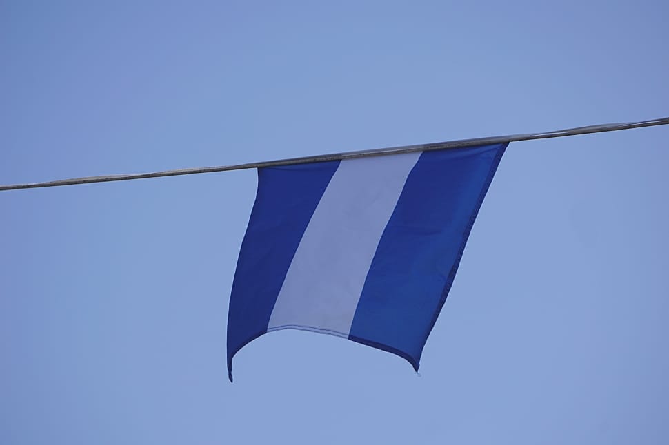 blue and white flag preview