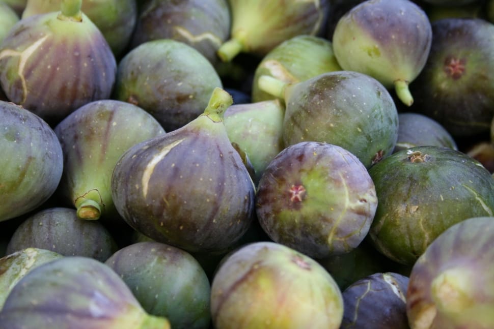 assorted green and purple figs preview
