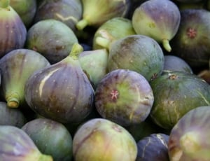 assorted green and purple figs thumbnail