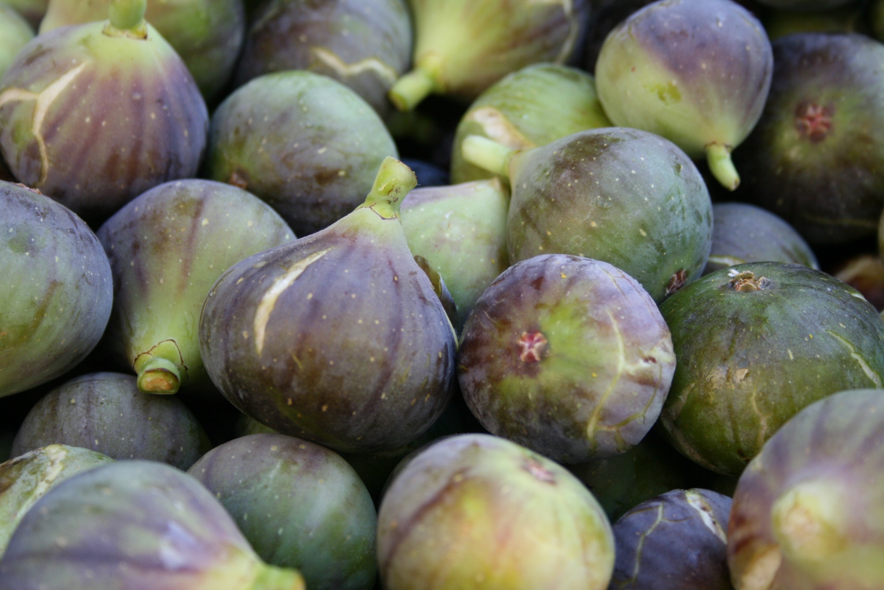 assorted green and purple figs