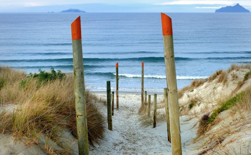 Beach access Ruakaka. NZ preview