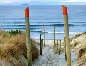 Beach access Ruakaka. NZ thumbnail