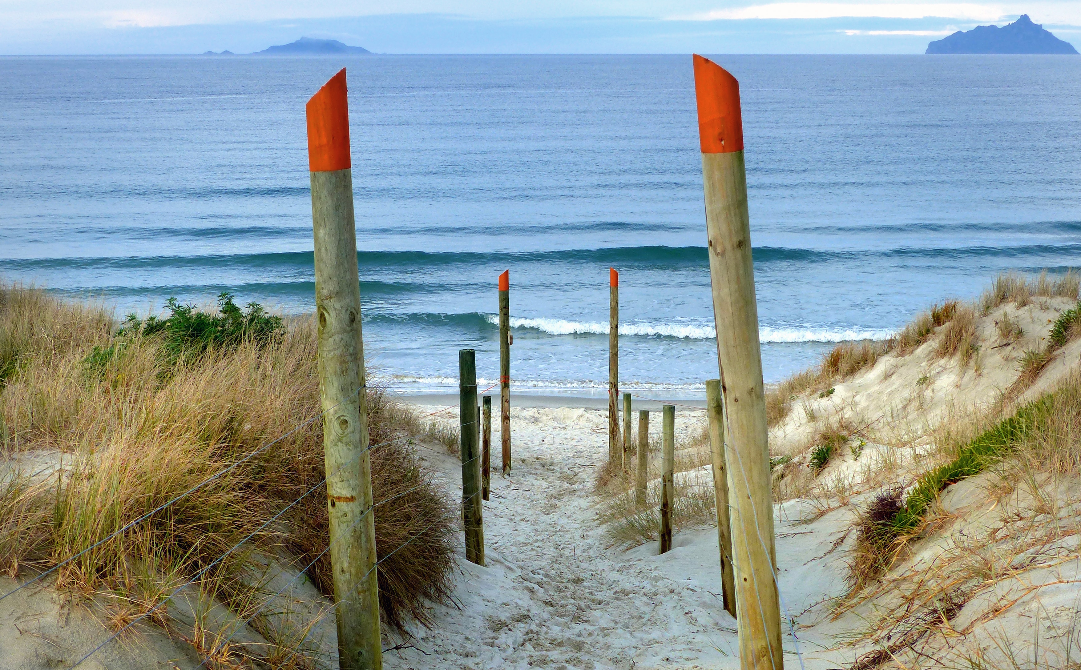 Beach access Ruakaka. NZ