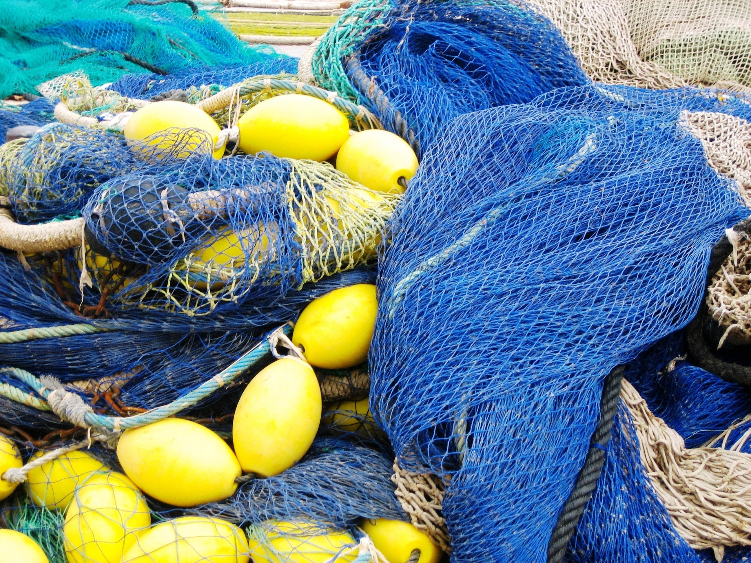 Mallorca, Fishing Net, Port Andratx, rope, fishing net