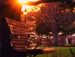 brown wooden bench on park thumbnail