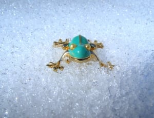 teal and gold frog decor on top of glass surface thumbnail