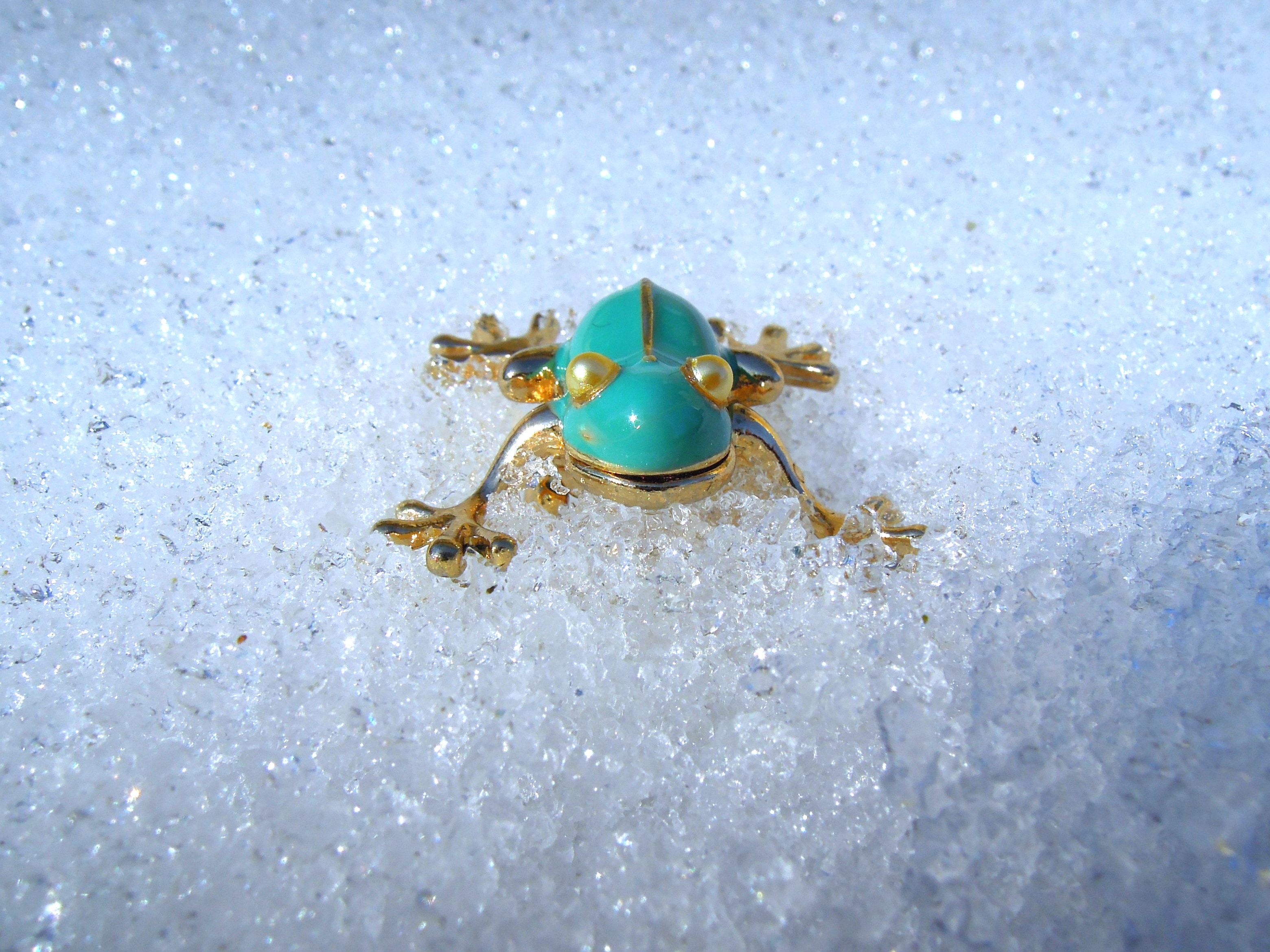 teal and gold frog decor on top of glass surface