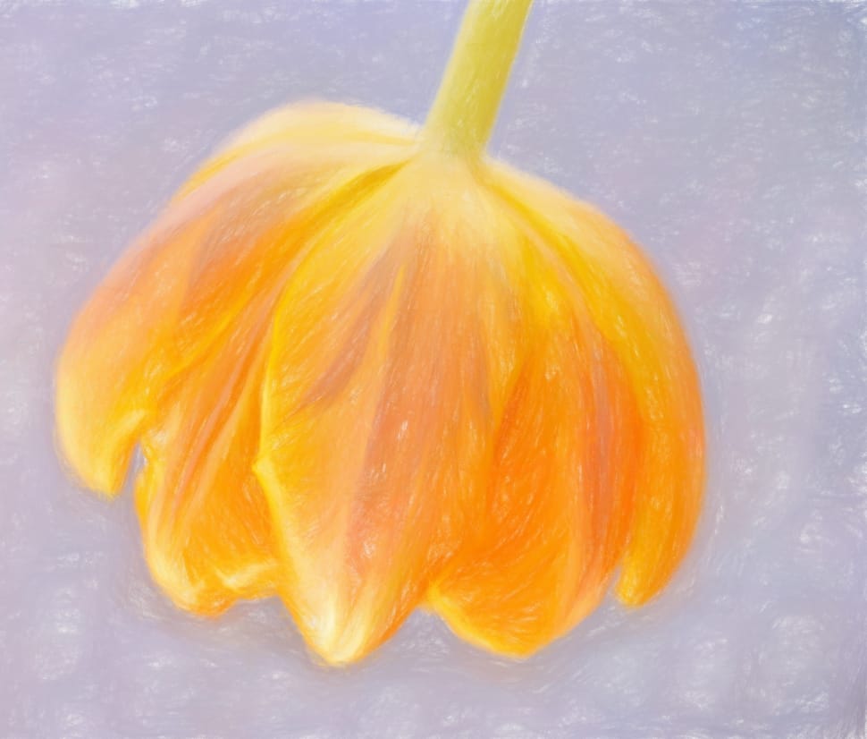 yellow tulip painting preview