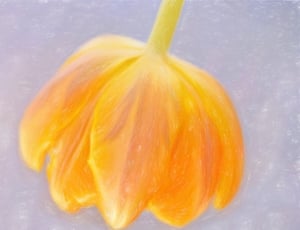 yellow tulip painting thumbnail