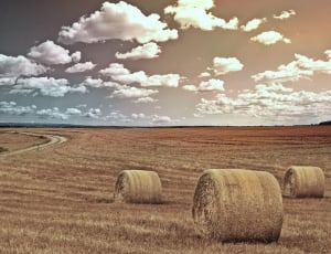 sepia photography of haystack rolls on grass field near road thumbnail