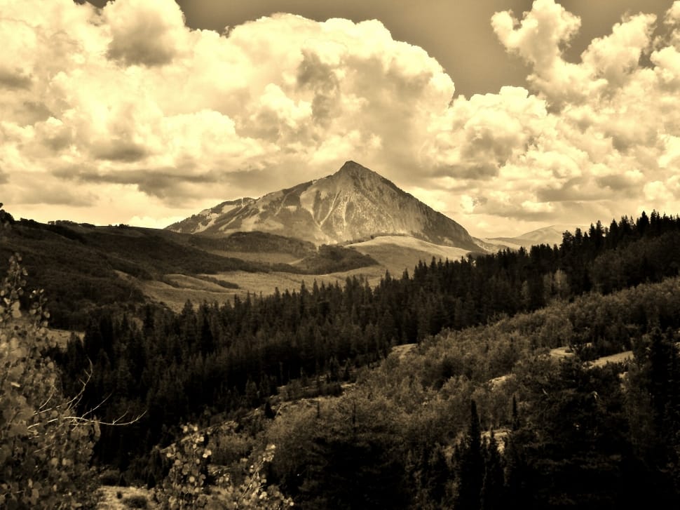 sepia photograph of forest and mountain preview