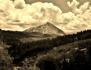 sepia photograph of forest and mountain thumbnail