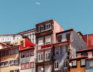 white and brown buildings thumbnail