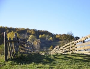 brown wooden fence under blue sky thumbnail