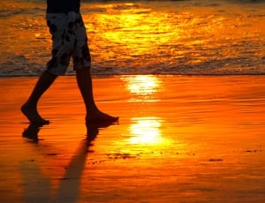 person walking seashore during golden hour thumbnail