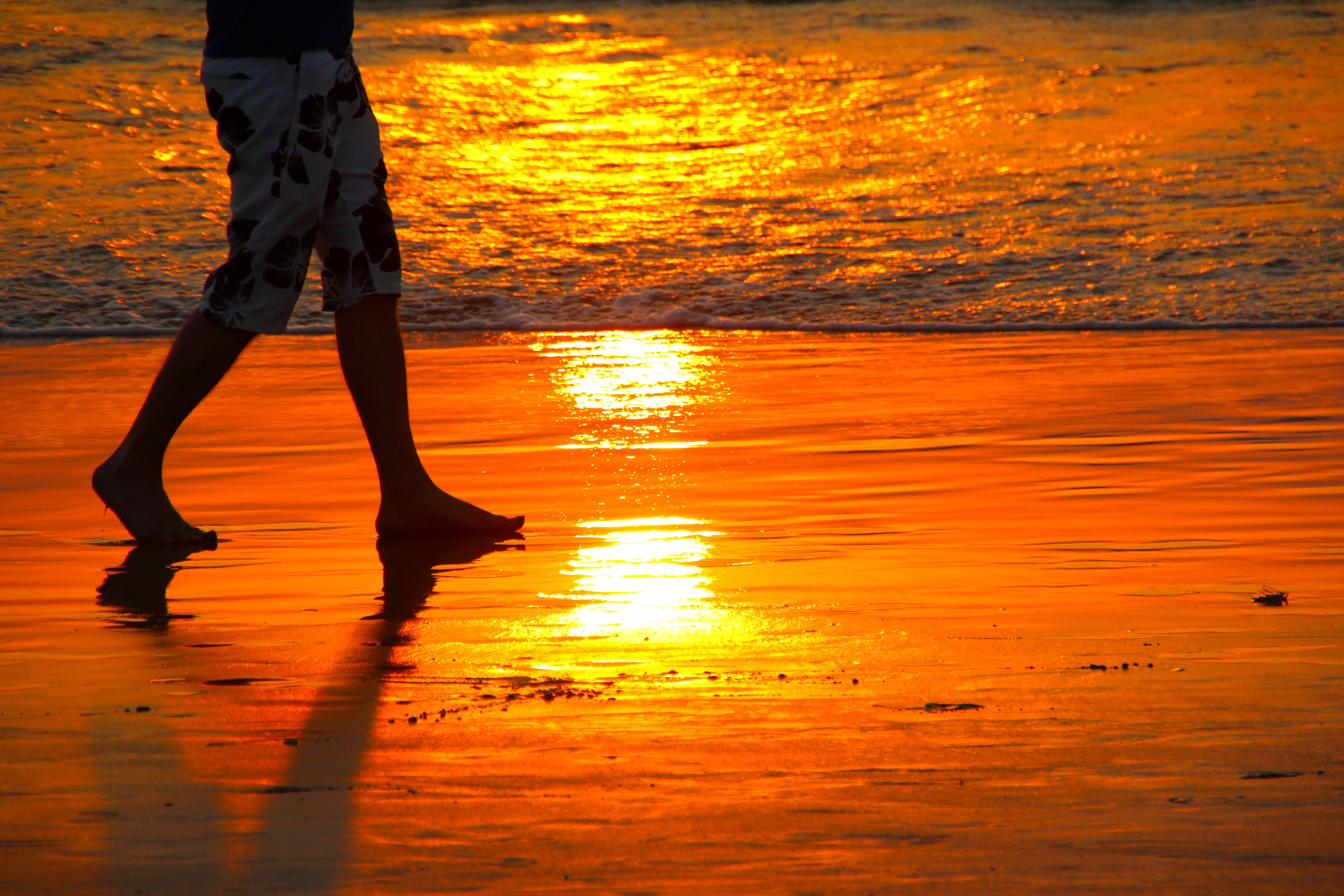 person walking seashore during golden hour