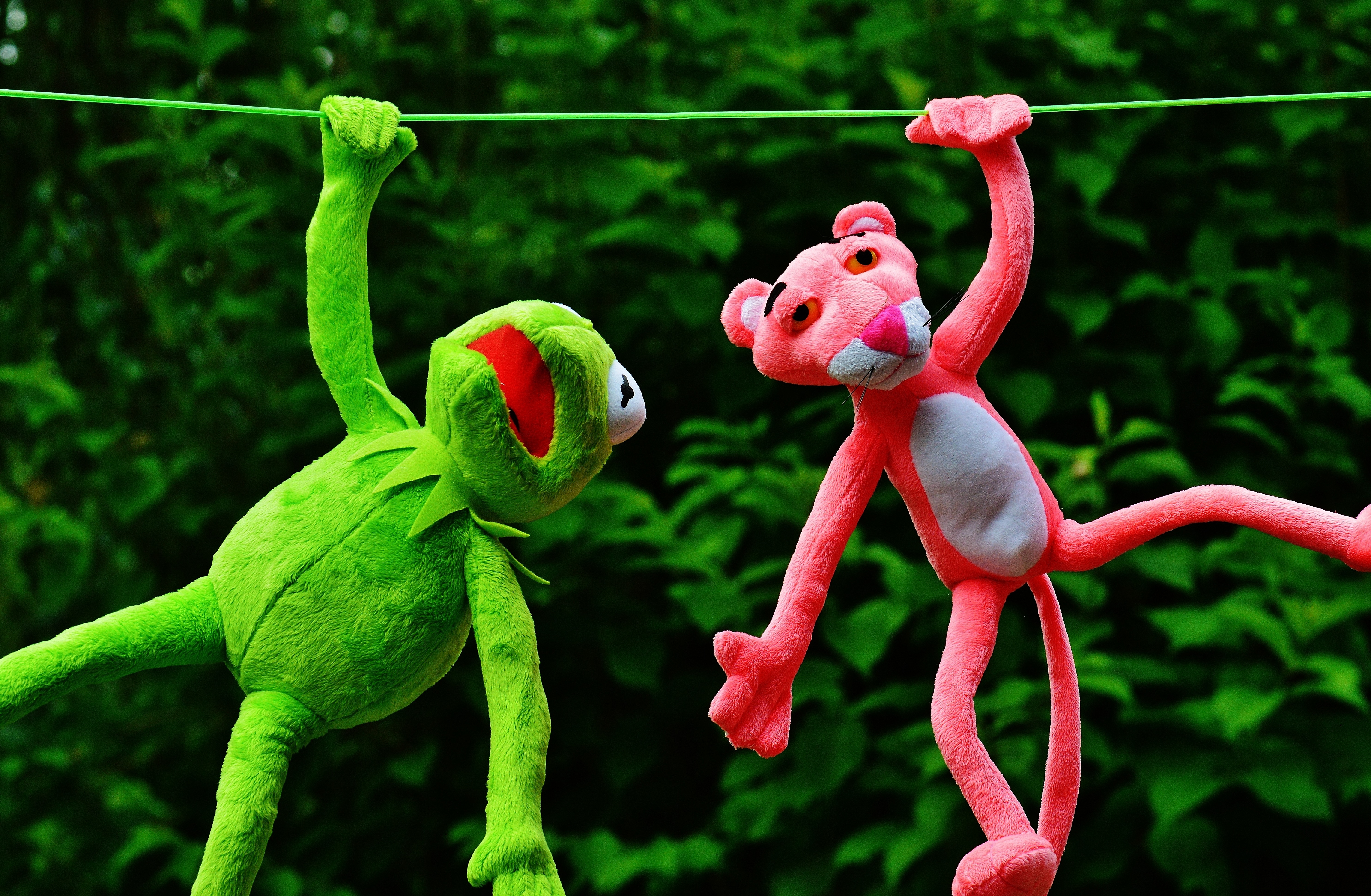 kermit the frog and pink panther plush toys