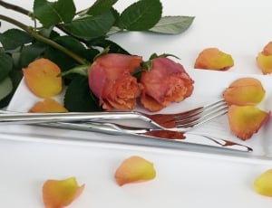 two orange roses on a white ceramic platter with silver fork and knife thumbnail