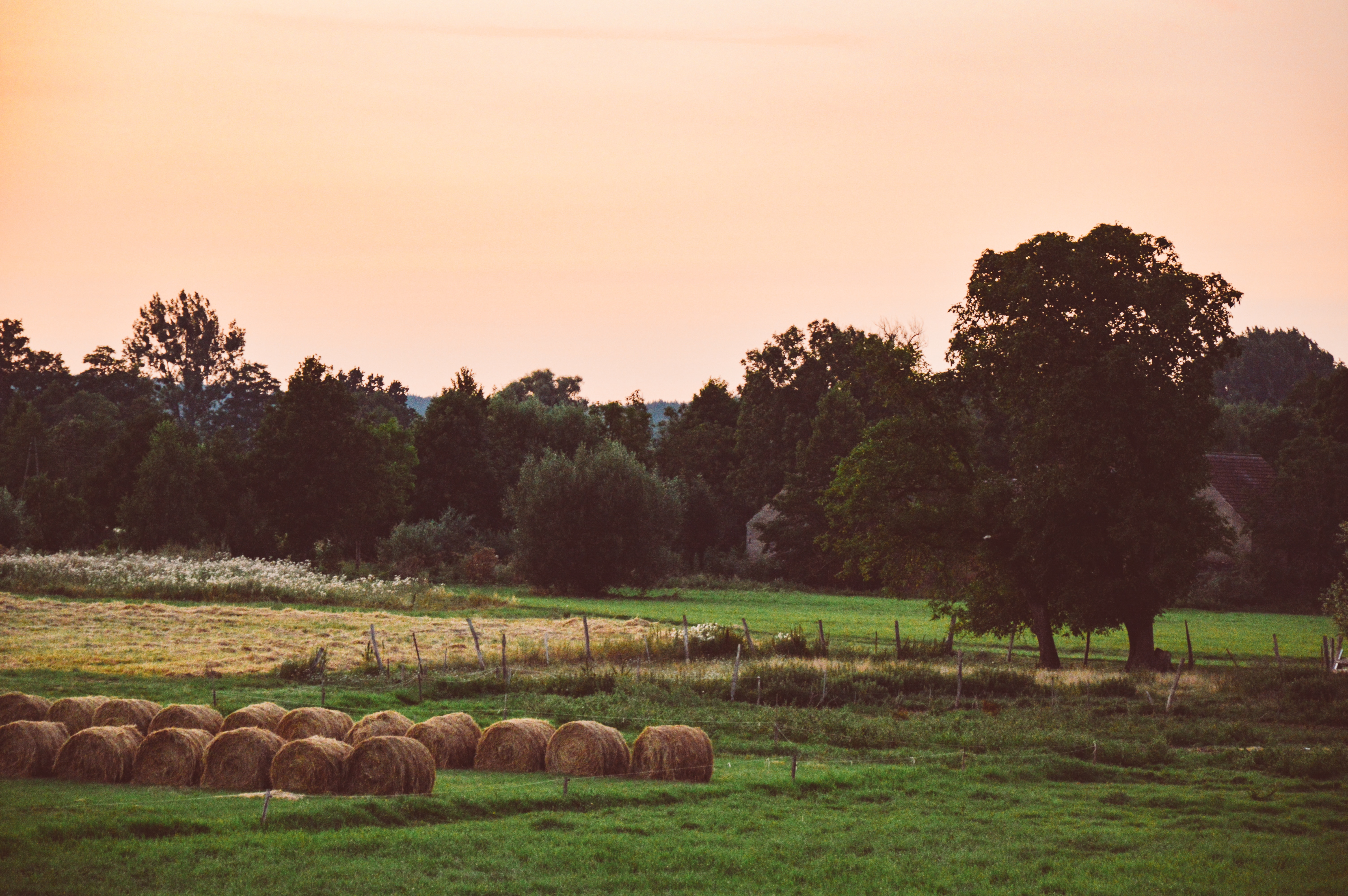 Countryside listening