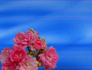 pink flower bouquet thumbnail