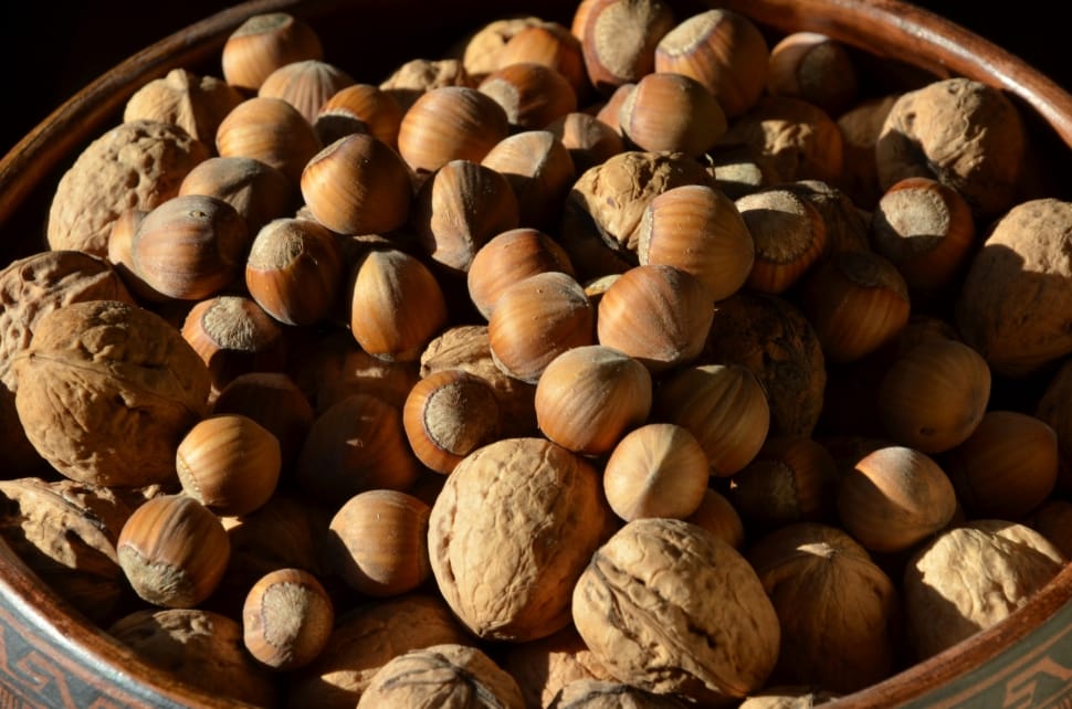 Nuts, Hazelnuts, Walnuts, Autumn, Brown, food and drink, food preview