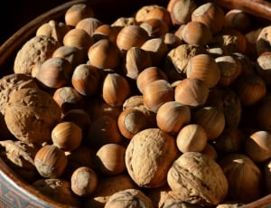 Nuts, Hazelnuts, Walnuts, Autumn, Brown, food and drink, food thumbnail