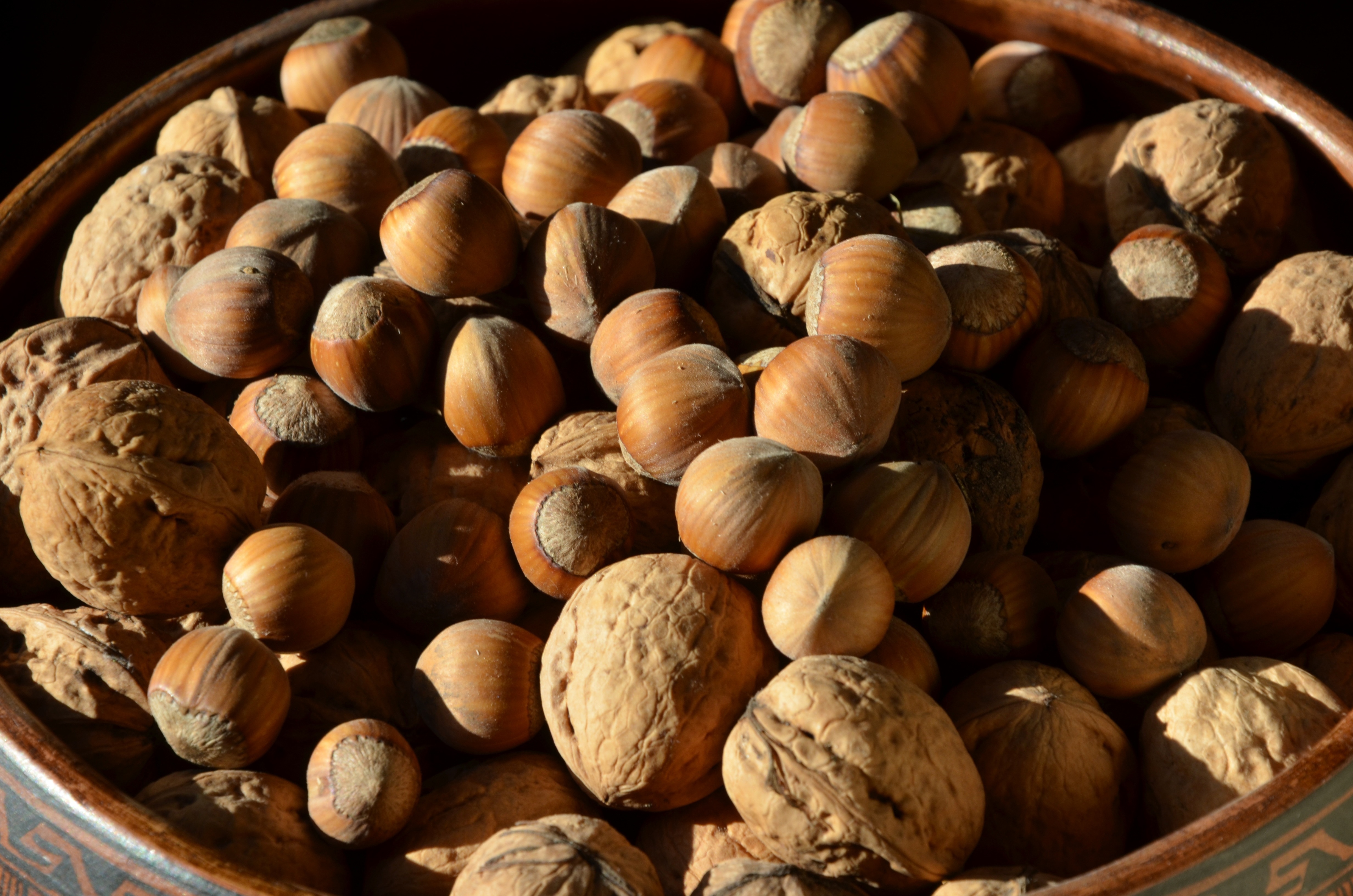 Nuts, Hazelnuts, Walnuts, Autumn, Brown, food and drink, food