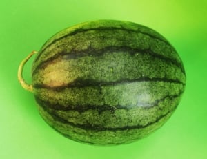 green watermelon thumbnail