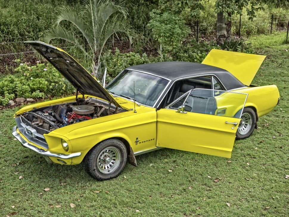 yellow and black Classic Ford Mustang side door open preview