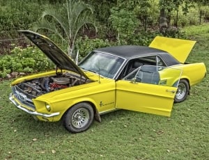 yellow and black Classic Ford Mustang side door open thumbnail